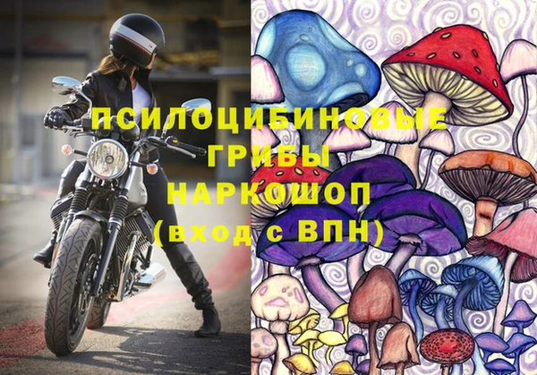 ECSTASY Абинск